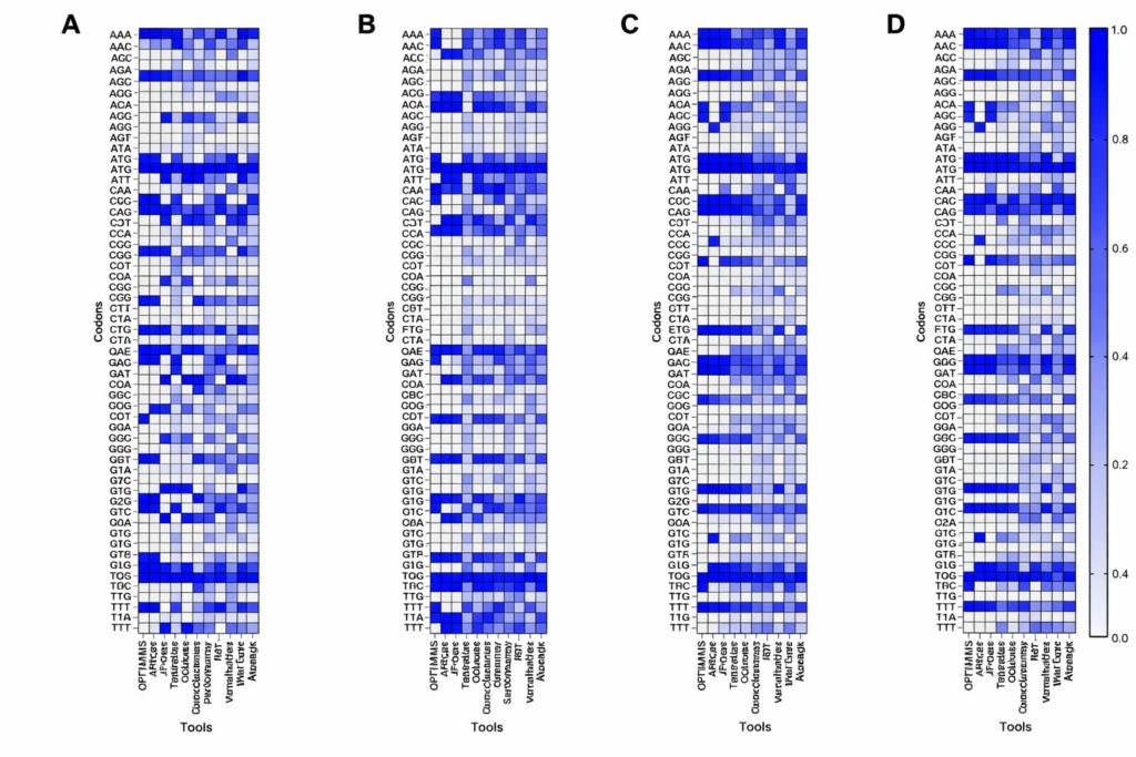We Trained mRNA Language Models Across 25 Species for $165